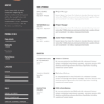 Example Resume Project Manager Resume Example