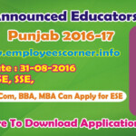 Download Application Form For NTS Educators Jobs 2016 17ESE Form SESE