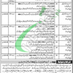 Rescue 1122 Jobs 2022 KPK Advertisement Application Form Etea edu pk